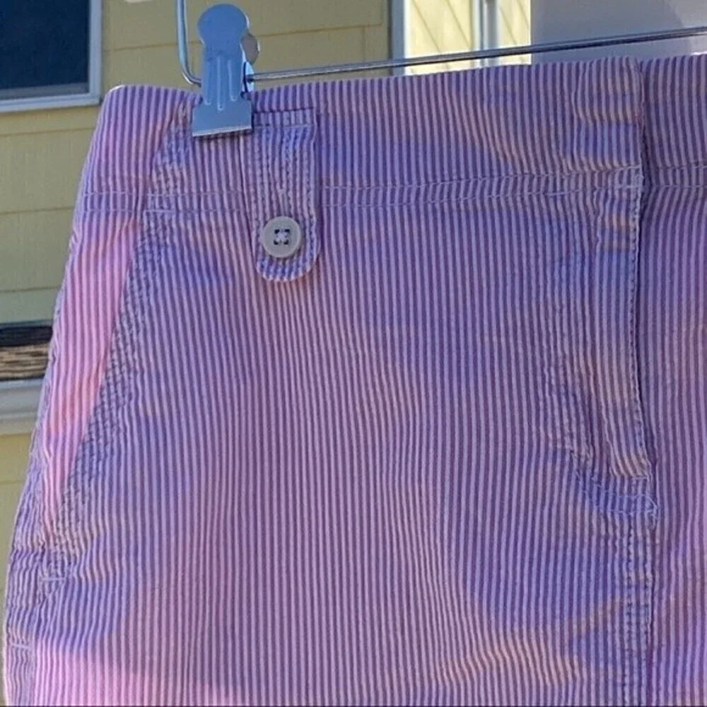 Loft Pink Seersucker Skirt - Picture 12 of 14